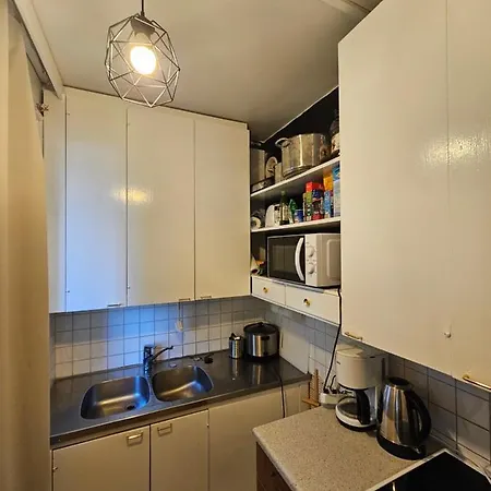 Daire Comfortable 1 Bedroom In Helsinki