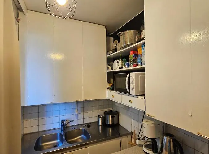 アパート Comfortable 1 Bedroom In ヘルシンキ